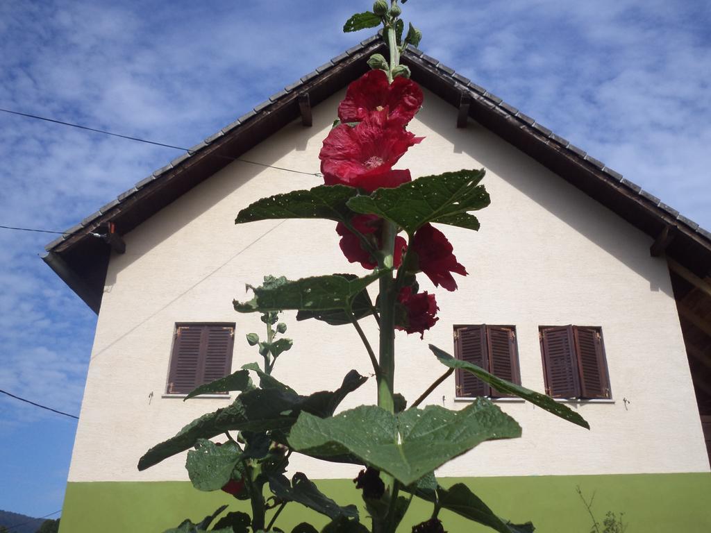 Guesthouse Loncar Plitvička Jezera Dış mekan fotoğraf