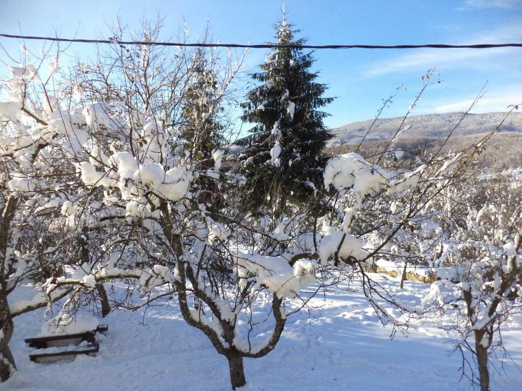 Guesthouse Loncar Plitvička Jezera Dış mekan fotoğraf
